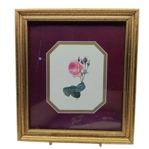 Vintage ingelijste botanische rozenprint met gouden lijst