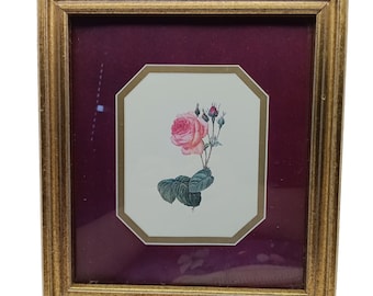 Gravura vintage de rosa botânica emoldurada com moldura dourada.