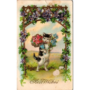 Vintage ansichtkaart met kattenillustratie en bericht 'Beste wensen'