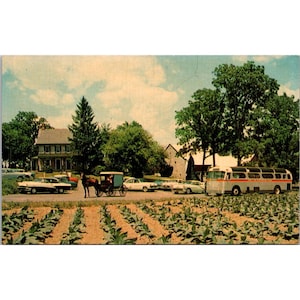 Cartolina d'epoca "La fattoria e la casa Amish" di Lancaster, PA, anni '50, vista panoramica, auto, autobus, agricoltura