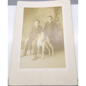 Antique CDV Cabinet Card, Brothers in Victorian Finery with Large Pet Dog, Fancy Period Portrait with English Pointer
