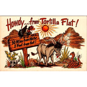 Cartão postal vintage Tortilla Flat Arizona, 30 milhas da água, 2 pés do inferno, montanhas da superstição
