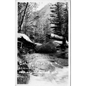 Cartolina RPPC d'epoca in bianco e nero con scena "Bit Of Nest Lake" con ruscello e alberi