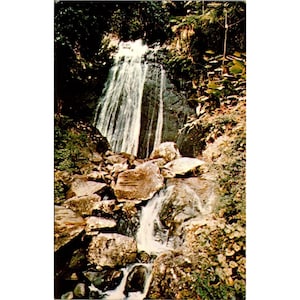 Cartão postal vintage cromado de Porto Rico, Cachoeira La Coca El Yunque Rain Forest Palmer, Unposted Divided Back Caribe Miller
