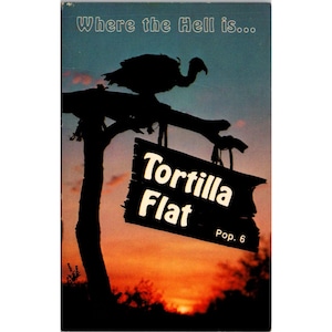 Carte postale vintage « Where The Hell Is Tortilla Flat Pop. 6 » Arizona Buzzard at Sunset Scene