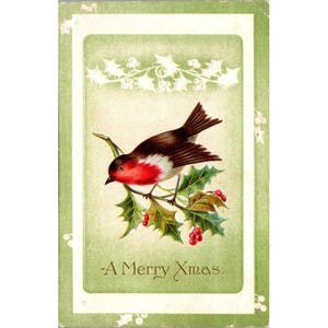 Carte postale de Noël vintage de 1912 avec un motif oiseau et houx