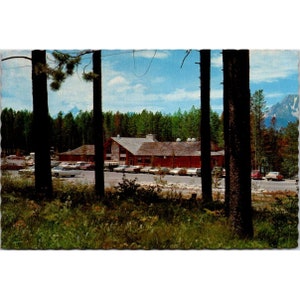 Carte postale vintage Chrome Grand Teton, Signal Mountain Lodge, Parc national du Wyoming, Continental Intermountain sans affichage, dos divisé