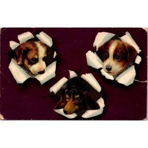 Carte postale 3D ancienne en relief, teckel et autres chiots perçants, éphémères de l'époque victorienne de l'époque dorée