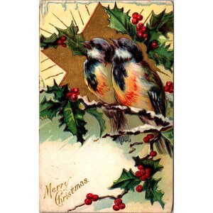 Cartolina d'epoca di Buon Natale in rilievo del 1908 con disegno di uccelli e agrifoglio