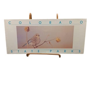 Carte postale vintage de la faune des parcs d'État du Colorado avec illustration d'oiseau