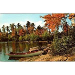Carte postale vintage plasti-chrome, scène de lac d'automne avec barque par Colourpicture Boston Mass