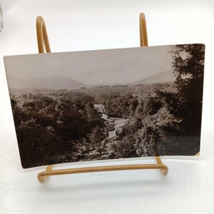 Cartão postal vintage antigo RPPC Burn Woods Glen, foto real de 1905 em preto e branco