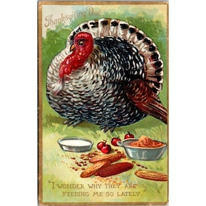 Postal vintage de Acción de Gracias de 1912 con ilustración de pavo y humor