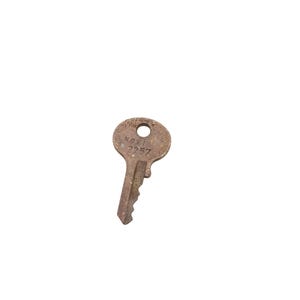 Vintage Master Lock-sleutel, messing wandelende leeuw 2257