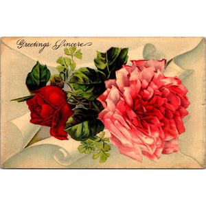 Vintage Postkarte ""Greetings klar"" mit rosa und roten Rosen."