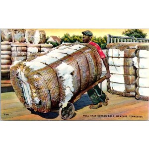 Cartão postal vintage da Bluff City News Co. "Roll That Cotton Bale" Memphis, TN, imagem colorida