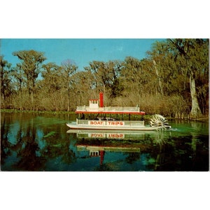 Vintage Chrom Florida Postkarte, Suwannee Belle Schaufelradboot auf dem Fluss Hwy 19 Fannin Springs, Dexter Unposted Divided Zurück