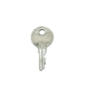 Puede incluir: Una llave plateada con una cabeza circular y un patrón estriado. La llave tiene un agujero cerca de la parte superior y el número "272" está estampado en la cabeza. Los dientes de la llave son visibles en la parte inferior.