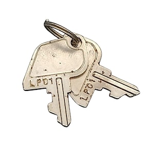 May include: Two silver keys on a metal ring. Each key has a rectangular head with the text "LP01" and a notched blade. The keys show signs of wear, with small marks and scratches.