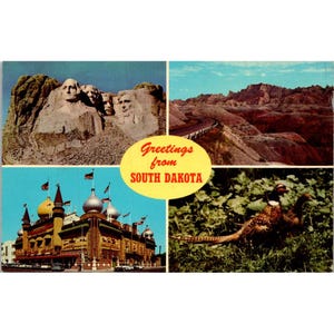 Cartolina d'epoca degli anni '50 con saluti dal South Dakota, raffigurante monumenti e uccelli dello stato