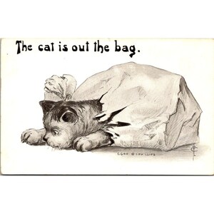Antica cartolina Phillips Cat, Cat is Out the Bag, FLC con illustrazioni, diviso in anticipo non pubblicato