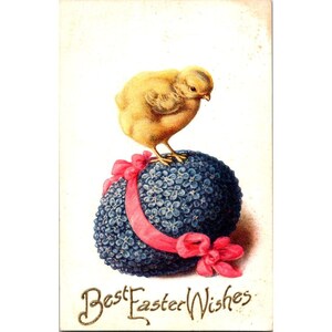 Vintage Oster Postkarte Küken Auf Blumenei Beste Osterwünsche