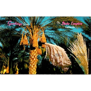 Cartolina d'epoca degli anni '50, palme da dattero, Indio, California, saluti dall'impero delle date