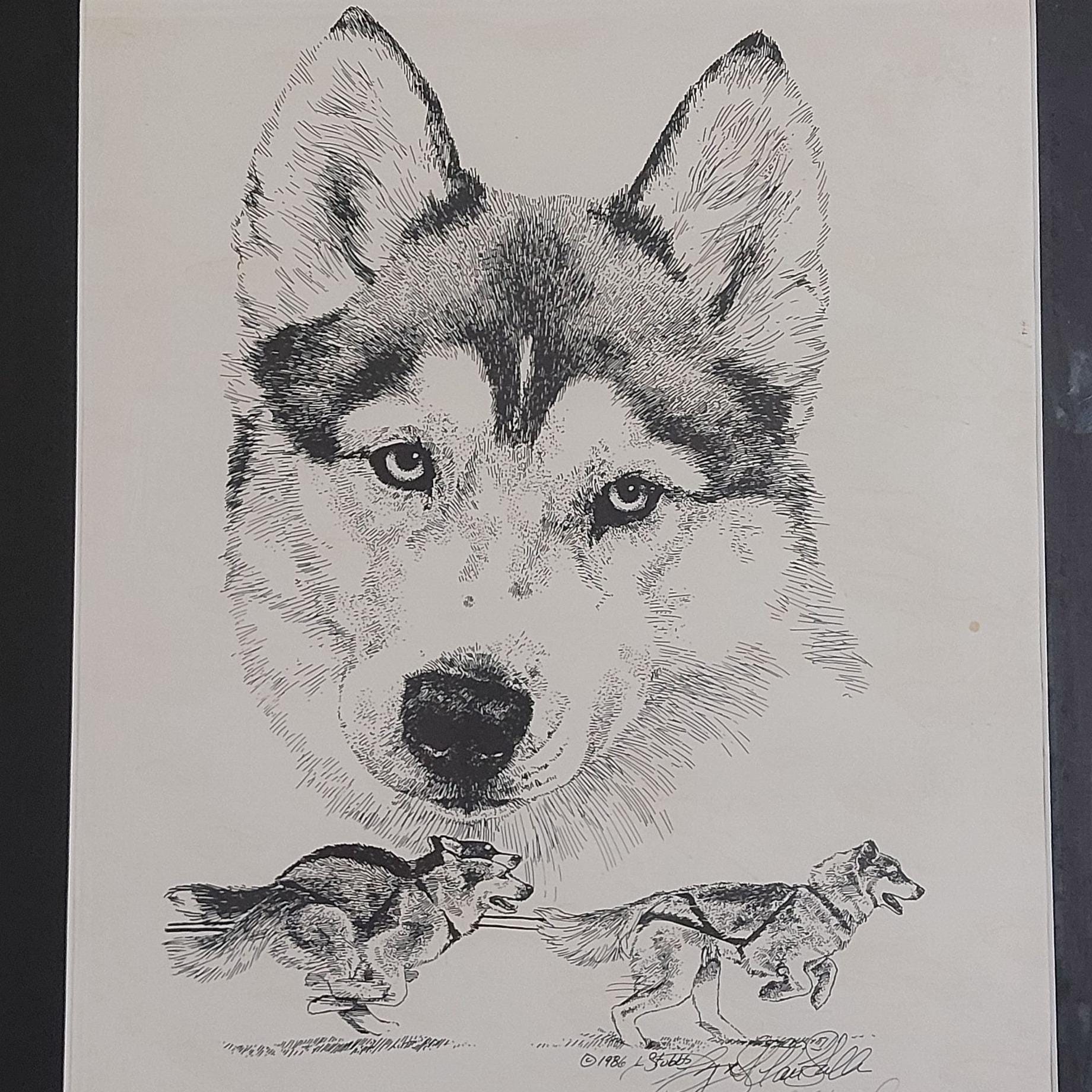 Lyn St Clair Stubbs Signed Numbered Husky Sled Dog Print 16x20