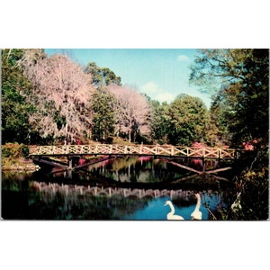 Cartolina vintage cromata mobile dell'Alabama, Bellingrath Gardens Camelie Azaleas Swan Pond Bridge, Curteichcolor non pubblicato diviso sul retro