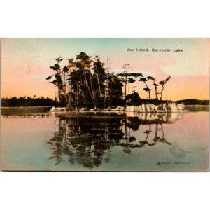 Carte postale colorée à la main vintage Jap Island Burntside Lake Erich Anttila 1906 Minnesota