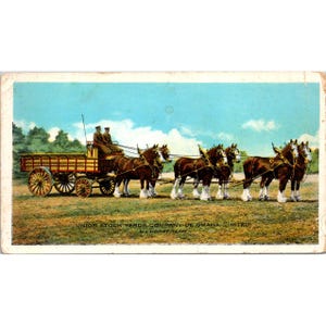 Vintage Union Stock Yards Company Of Omaha Carte postale Six Horse Team Clydesdale Illustration vers le début des années 1900