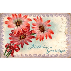 Vintage 1910 Carte postale de voeux d'anniversaire avec fleurs roses et message manuscrit