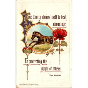 Antica cartolina Geyer in rilievo, serie Roosevelt 102 Zebra e citazione Liberty, effimera vittoriana dell'età dell'oro