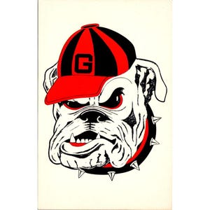 Universität von Georgia Bulldogge Mascot Vintage Postkarte 1960s Asheville Post Card Co. K-A-14
