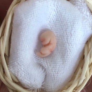 8 Week Gestation Foetus Baby in a Wicker Basket, Miscarriage loss Pregnancy Fetus Precious Keepsake