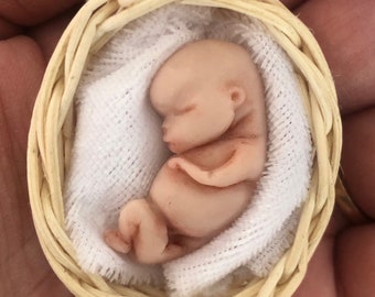 10 Week Gestation Angel Baby Sleeping Foetus, Fetus Miscarriage loss Family Keepsake