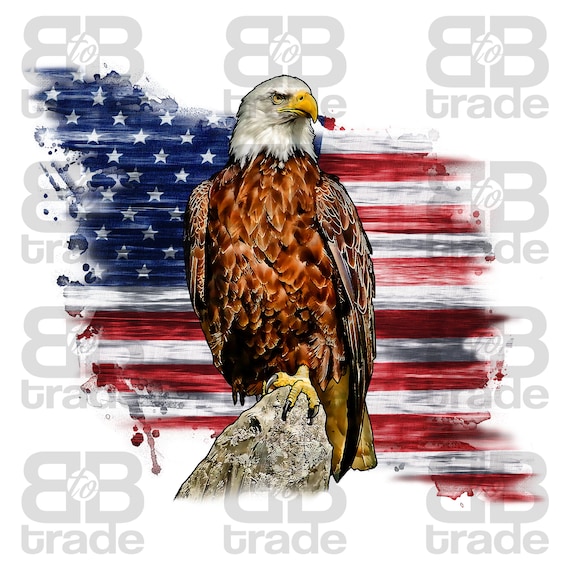 American Bald Eagle PNG 4th of July Ealge Liberty Bird USA - Etsy