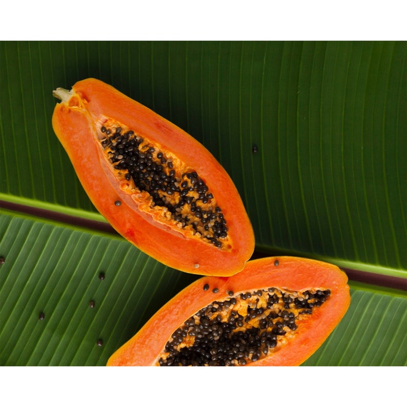 Papaya Enzymes Papain Digestive Enzyme Digestion Health Etsy