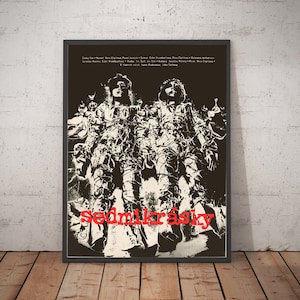 Daisies Vera Chytilova 60&#39;s Czechoslovak New Wave Feminist Punk Anarchy Movie Film Poster Restored Reprint