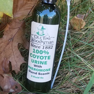 Ole Time Woodsman 100% Coyote Urine with Pheromone Gland Scents