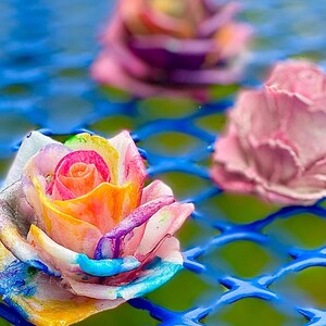 Radiant Rose - Rockin’ Rose