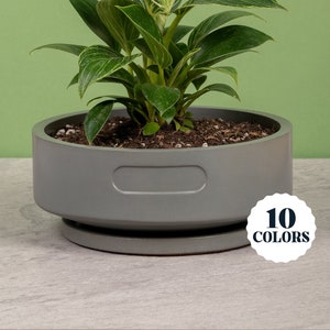 8&quot; Low Bowl Pot & Plate | 10 Colorways | Concrete Planter w/ Drainage Hole | Plate w/ Cork Bottom | Coastal Mid-Century Modern
