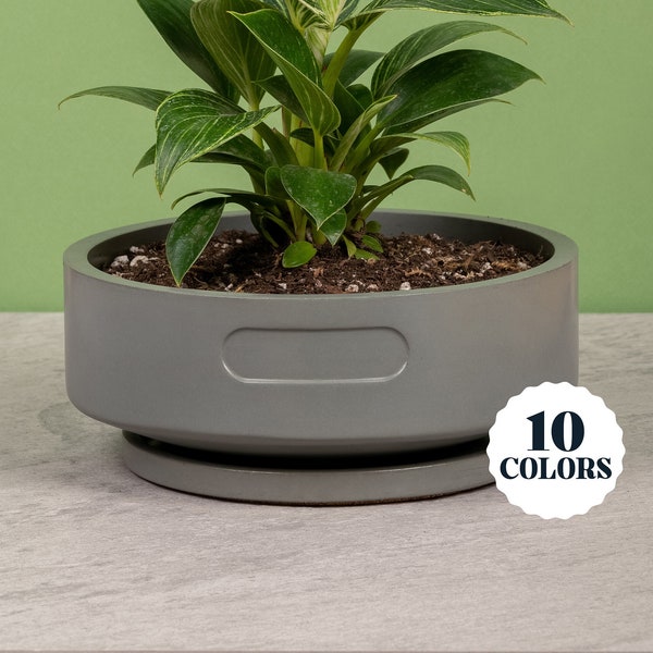 8" Low Bowl Pot & Plate | 10 Colorways | Concrete Planter w/ Drainage Hole | Plate w/ Cork Bottom | Coastal Mid-Century Modern