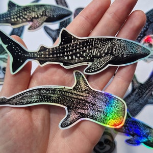 Set di 2 adesivi olografici impermeabili a forma di squalo balena, adesivi con tema marino, adesivi in vinile illustrati / adesivi per laptop / adesivi per auto, confezione da 2