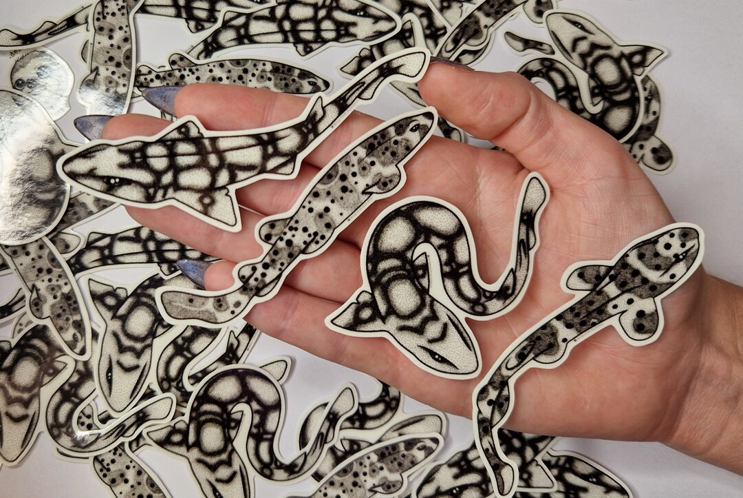 4 Catshark Glow in the Dark Stickers Set, Sealife Sticker, Illustrated