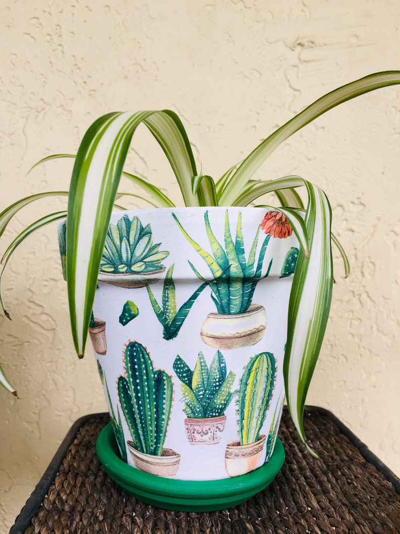 Cactus/'s Decoupaged 5.5/' on Terra Cotta Pots