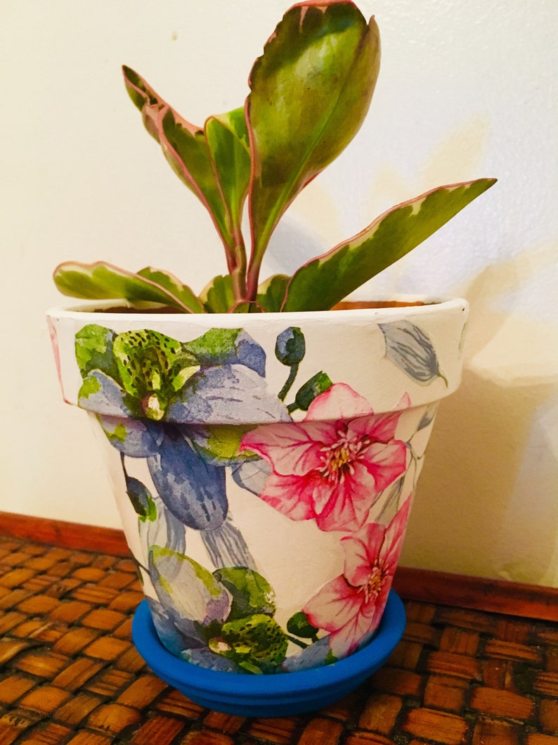 Floral Hummingbird Decoupaged on 5.5/' Terra Cotta Pot