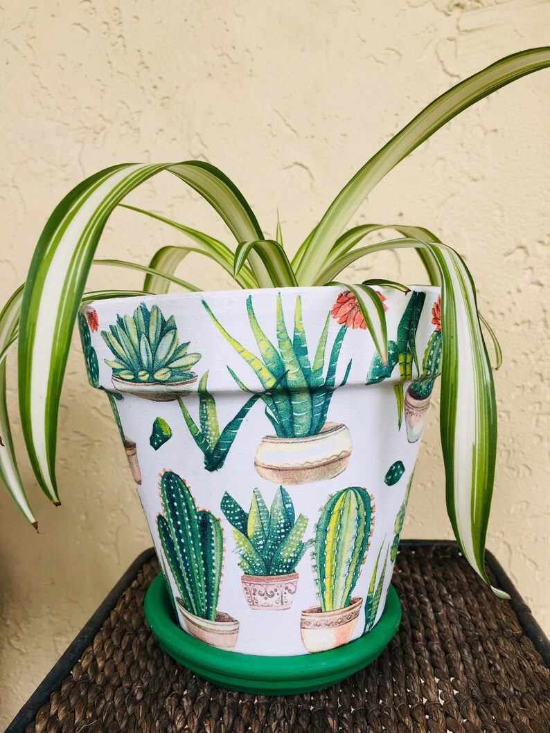 Cactus/'s Decoupaged 5.5/' on Terra Cotta Pots