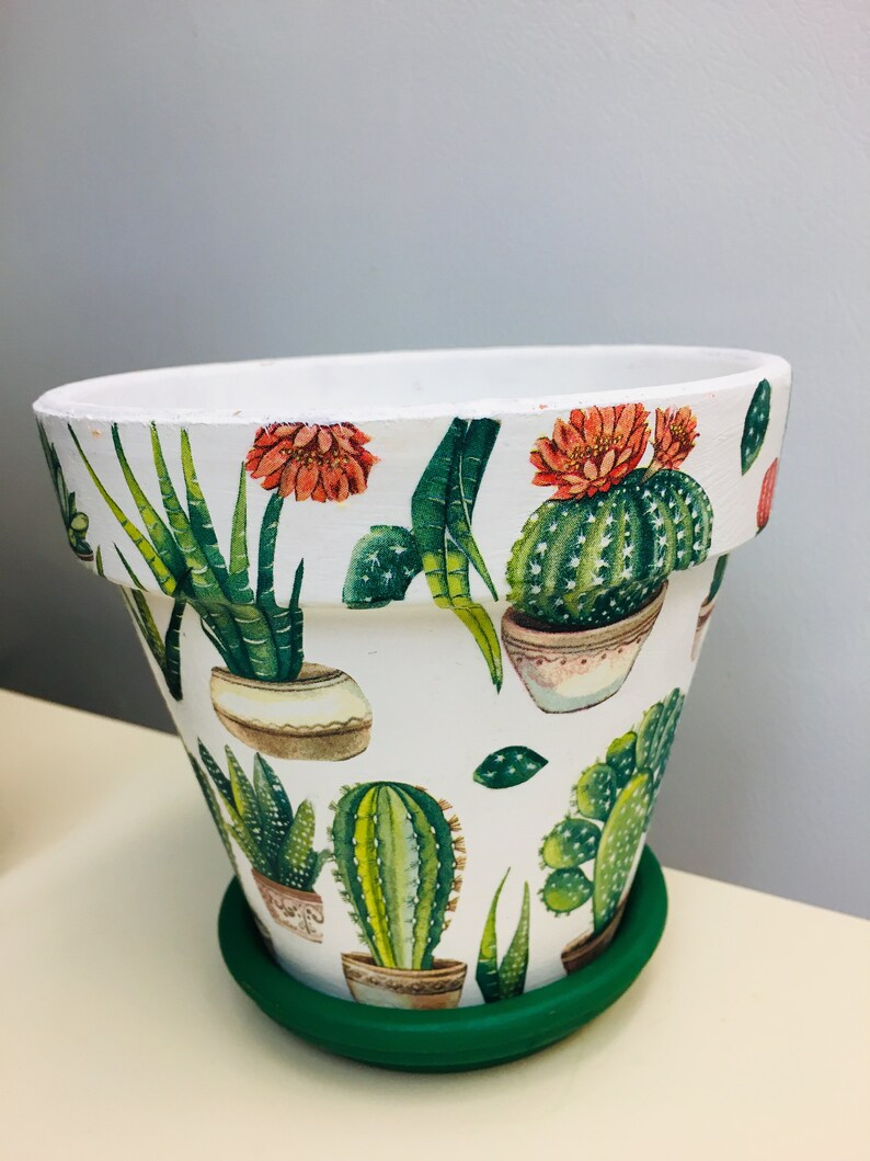 Cactus/'s Decoupaged 5.5/' on Terra Cotta Pots