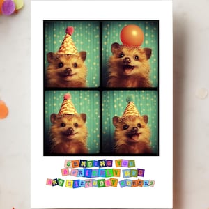 Carte de voeux photomaton rétro hérisson, cartes d'anniversaire drôles pour les propriétaires et les amateurs de hérissons, cadeau original et carte d'anniversaire étrange pour lui ou elle